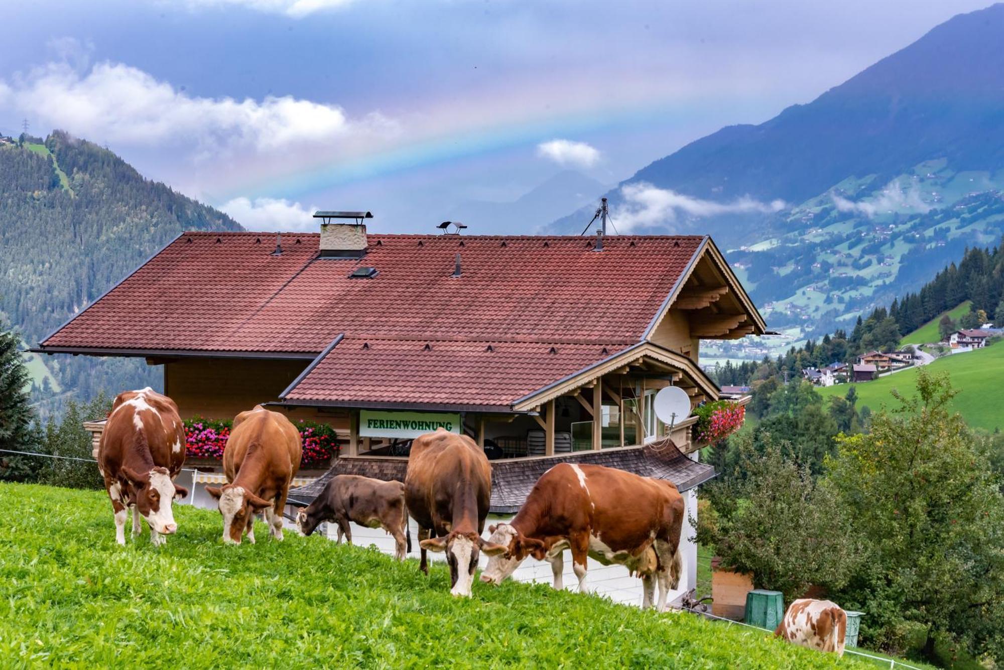 Ausblick Zillertal Apartment
