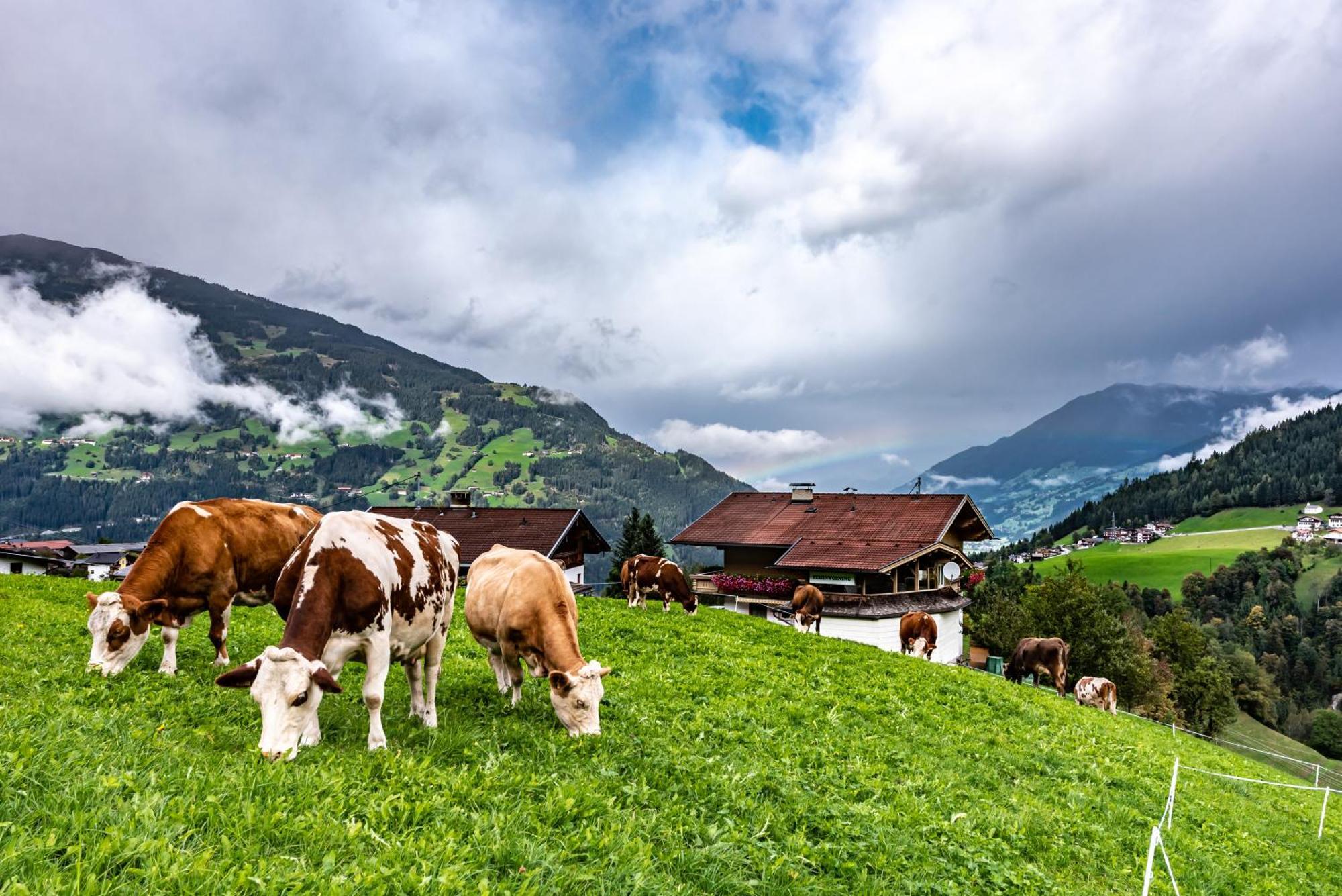 Apartment Ausblick Zillertal *